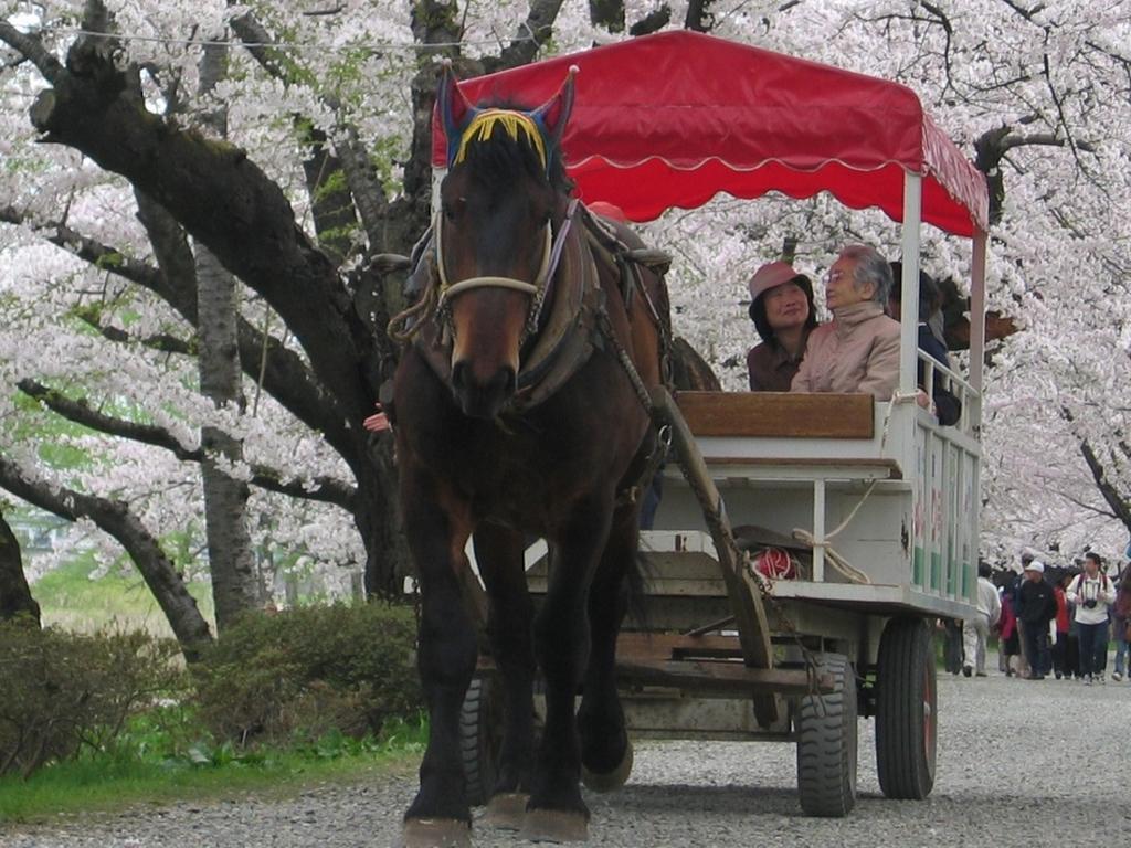 Yamayuri no Yado Hanamaki Eksteriør billede